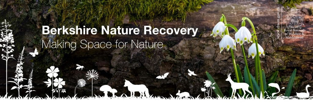Berkshire Nature Reserve Strategy Logo