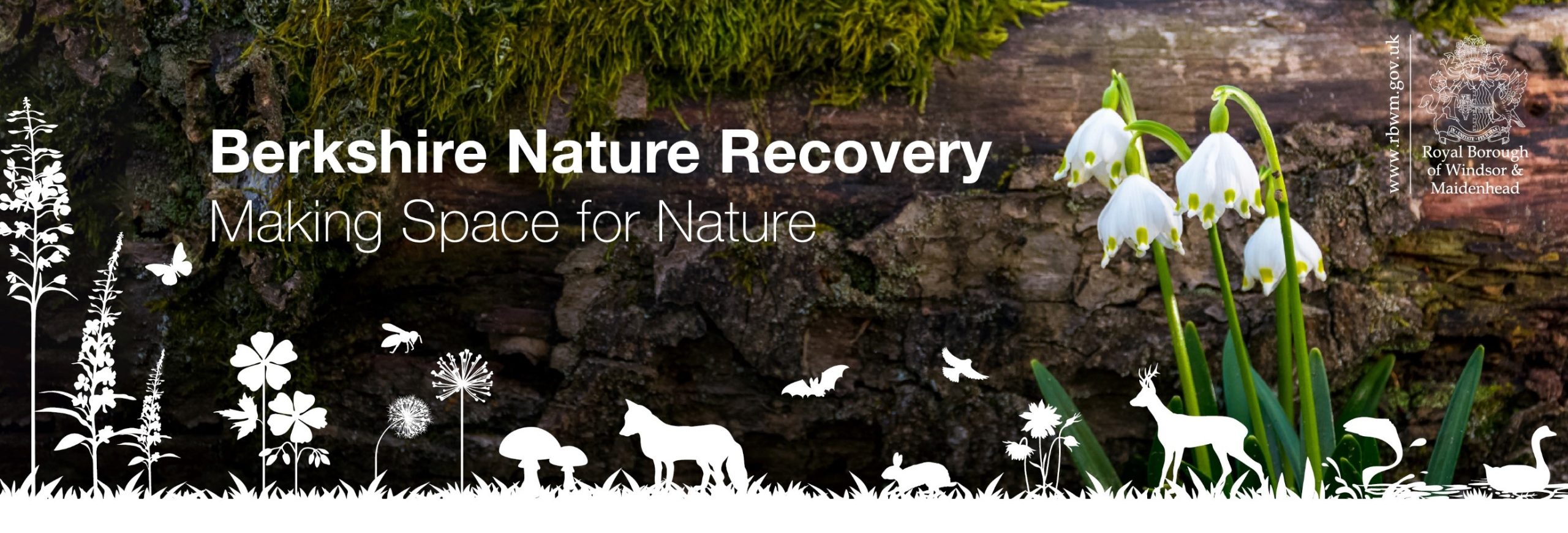 Get involved in shaping the Berkshire Local Nature Recovery Strategy